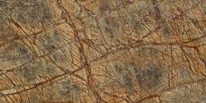 Rain Forest Brown Polished