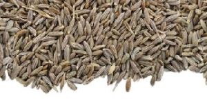 Cumin