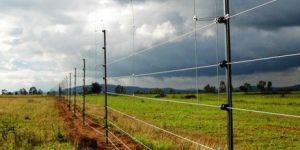 Agriculture or Animal Fencing