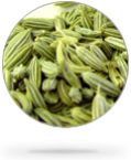 Fennel Seeds