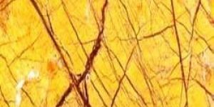 Rainforest Golden Marble