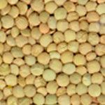 Lentils