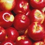 Red Star Apple