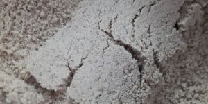 Green Coffee Beans Powder (Extract)