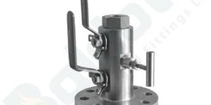 Block And Bleed Valves