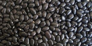 BLACK KIDNEY BEANS / BLACK BEANS