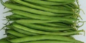 Green Beans