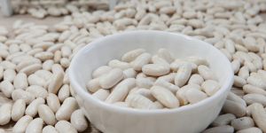 White Kidney Beans