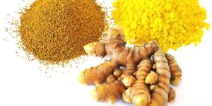 Turmeric Curcuma Longa Extract