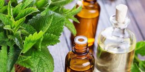 Peppermint Oil