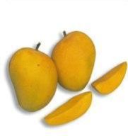 Mangoes