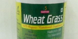 Wheat Grass Juice with Tulsi AND Giloy