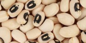 Black Eye Beans (Lobiya)Lobiya