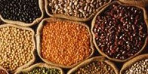 Indian Grains