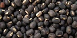 Urad Whole Black