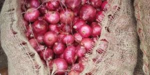 Onions