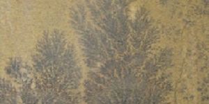 Fossil Mint Sandstone