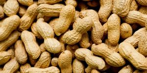 Inshell Peanuts
