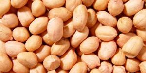 Java Peanuts