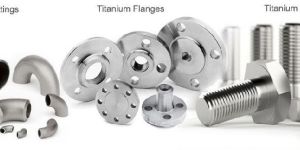 Titanium Flanges