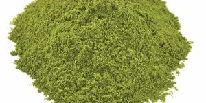 Spinach Leaves Powder