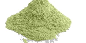 White Onion Powder