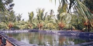 LDPE FILM, LDPE SHEET