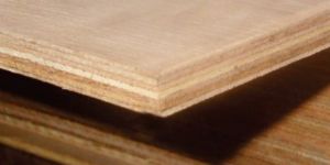 Kit Ply Plywood