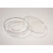 NUNC CENTERWELL DISH