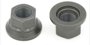 Wheel Nut