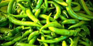 Green Chili