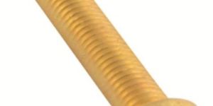 Brass Slotted Pan Screws Two