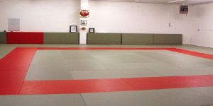 Judo Mats