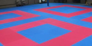 Taekwondo Mats
