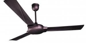 Premium Ceiling Fans