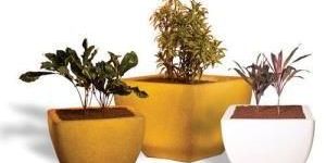Plastic Planter Glossing