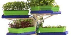 Self Watering Planter