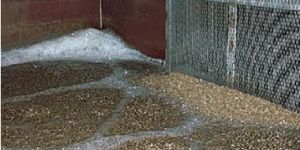 Moving Bed Bio Reactor