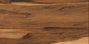 Montafon Brown Tiles