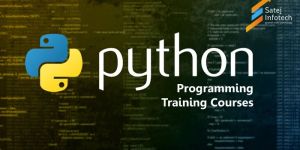 Python Programming Training Courses