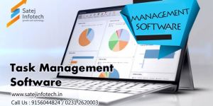 Team Task Management Software