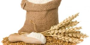 Wheat Flour