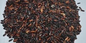Manipuri Black Aromatic Rice