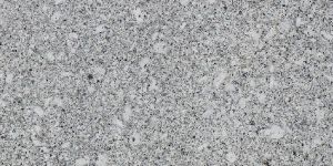 Platinum White Granite