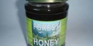 Forest Honey