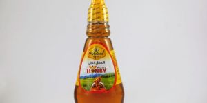 Natural Honey in Squeeze Pet Bottle