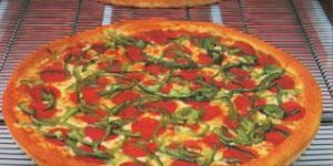 Flex Conveyor Belting