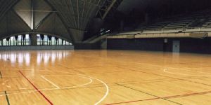 Sports Flooring