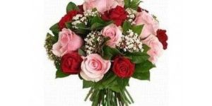 Pink Roses Bunch