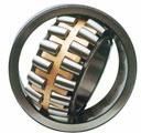 Double Roller Bearing